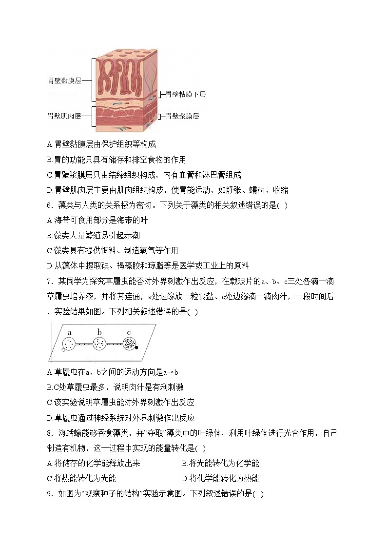 吉林省长春市二道区2024-2025学年七年级上学期期末质量调研生物试卷(含答案)第2页