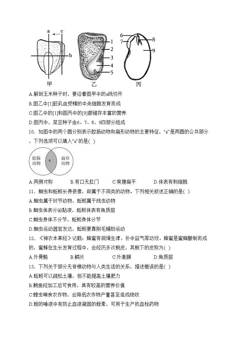 吉林省长春市二道区2024-2025学年七年级上学期期末质量调研生物试卷(含答案)第3页