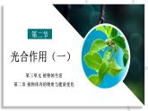 【人教版】七下生物 3.2.2 光合作用（第1课时）（课件+教案+导学案+练习+视频）