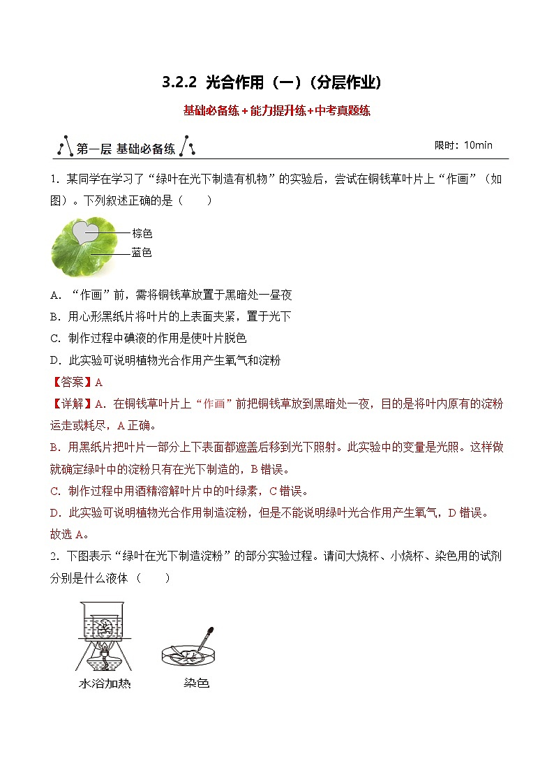 3.2.2 光合作用（第1课时）（分层作业）（解析版）第1页