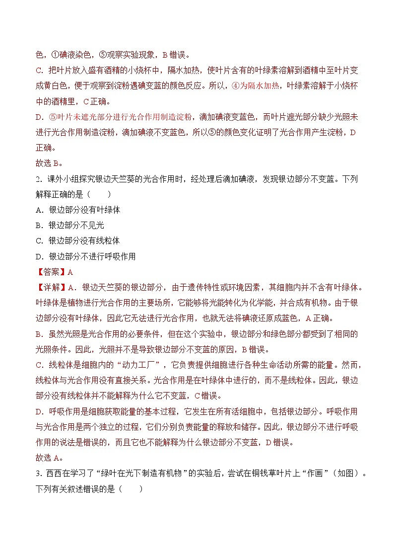 3.2.2 光合作用（第1课时）（导学案）（解析版）第3页