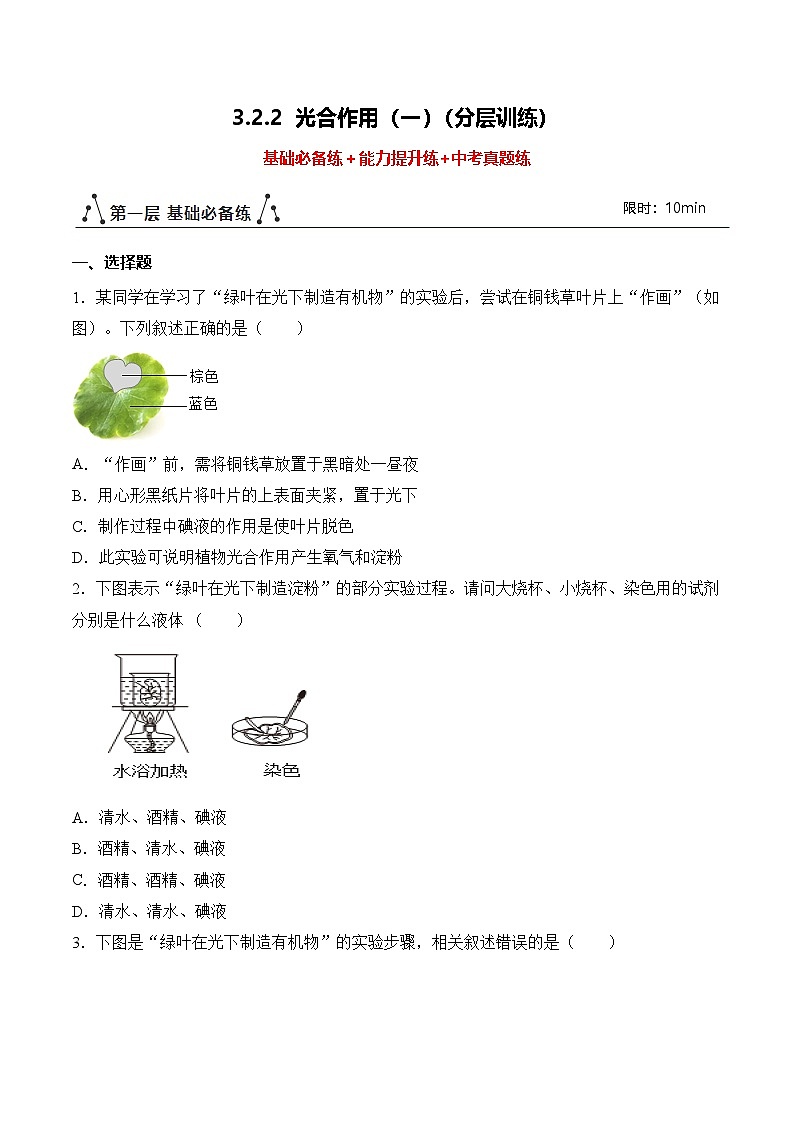 3.2.2 光合作用（第1课时）（分层作业）（原卷版）第1页