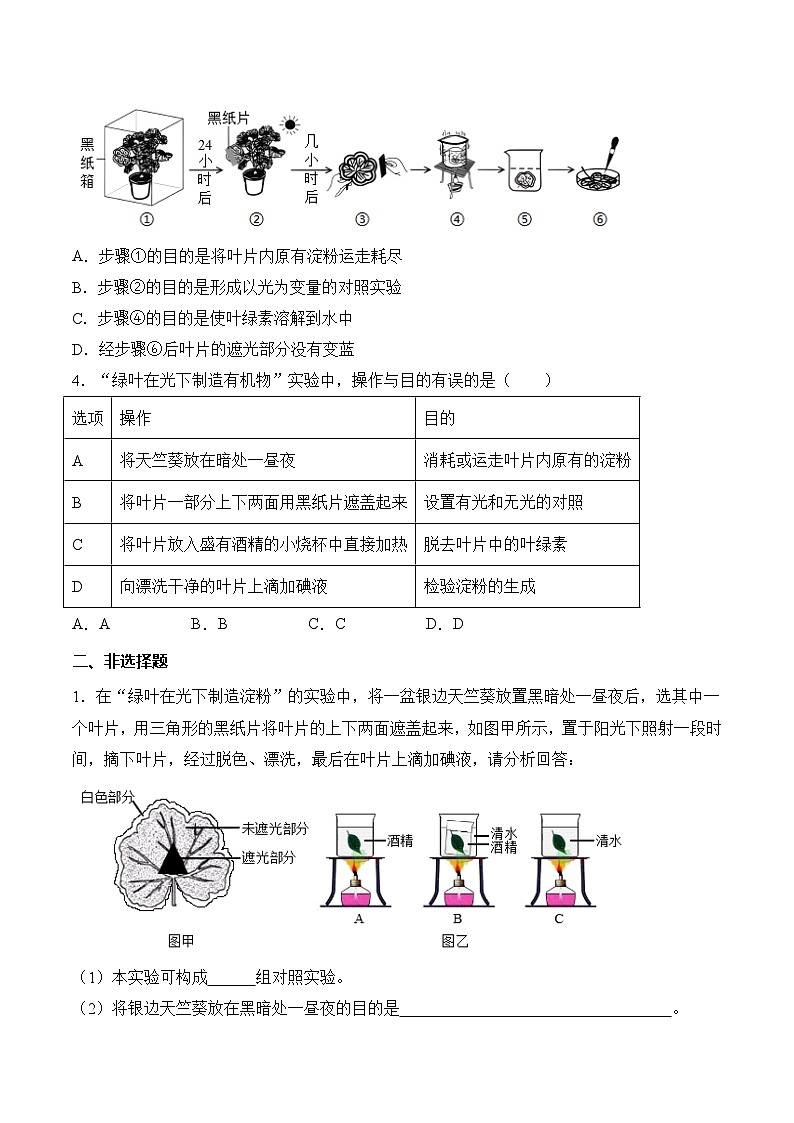 3.2.2 光合作用（第1课时）（分层作业）（原卷版）第2页