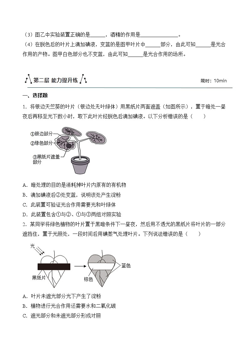 3.2.2 光合作用（第1课时）（分层作业）（原卷版）第3页