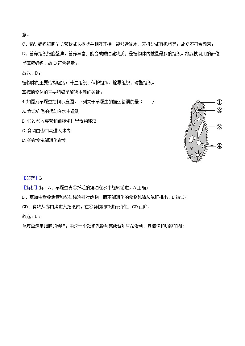 重庆市南川区三校联盟2024-2025学年七年级（上）期中生物试卷（B卷）（解析版）第2页