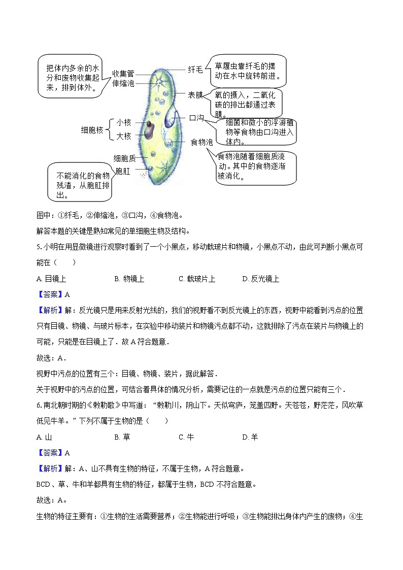 重庆市南川区三校联盟2024-2025学年七年级（上）期中生物试卷（B卷）（解析版）第3页