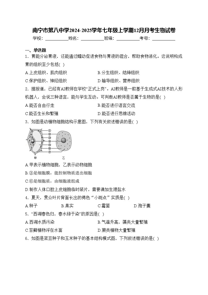 南宁市第八中学2024-2025学年七年级上学期12月月考生物试卷(含答案)第1页