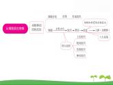 人教版（2024新版）七年级上册生物第一单元 第三章从细胞到生物体 复习课件