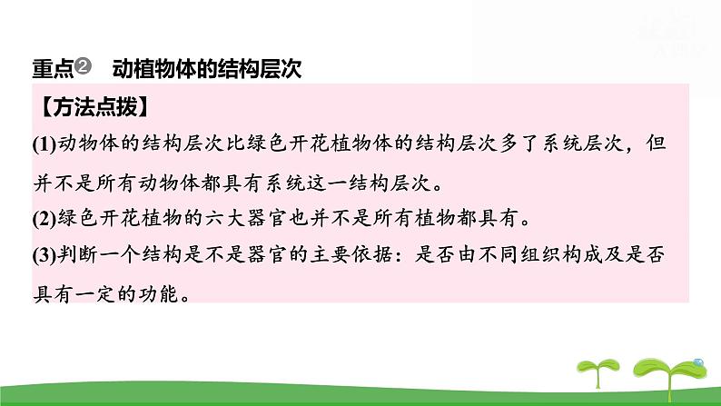 人教版（2024新版）七年级上册生物第一单元 第三章从细胞到生物体 复习课件第8页