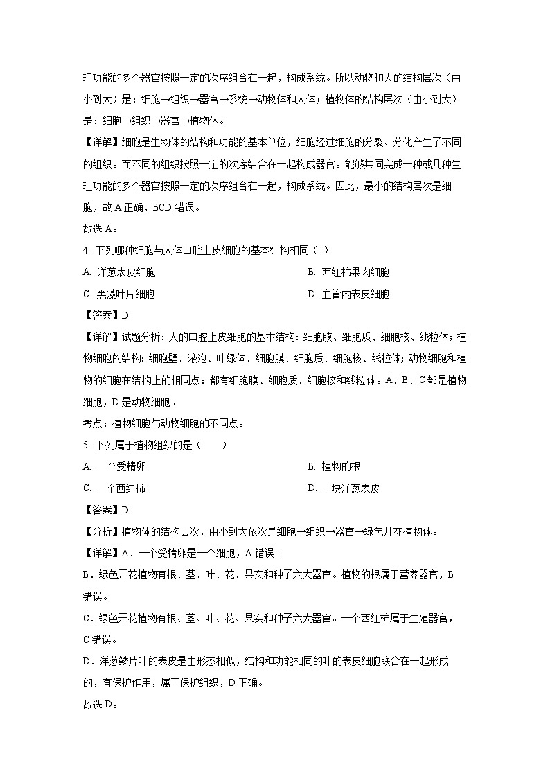 2023~2024学年吉林省松原市长岭县七年级上期末生物试卷（解析版）第2页