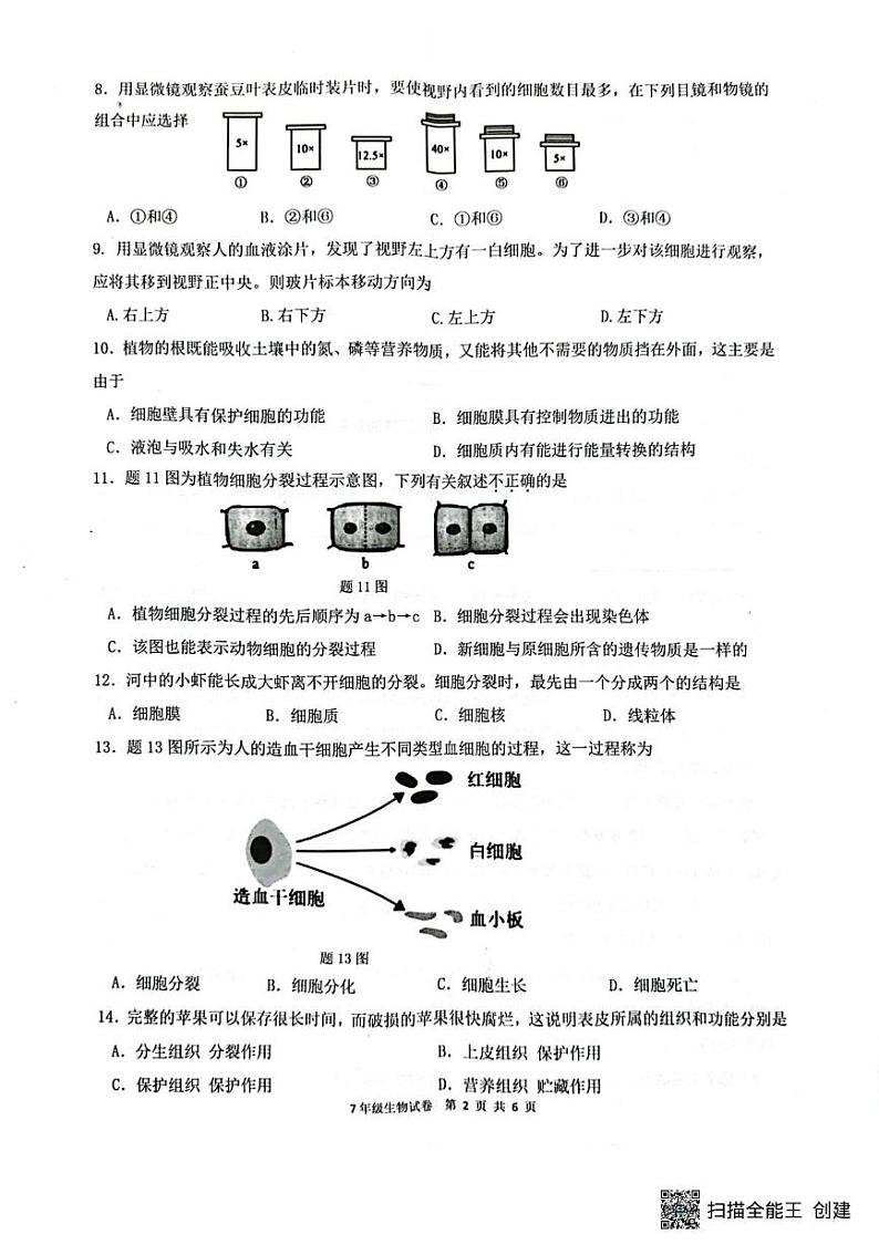广东省惠州市惠东县2024-2025学年七年级上学期期末生物试题第2页