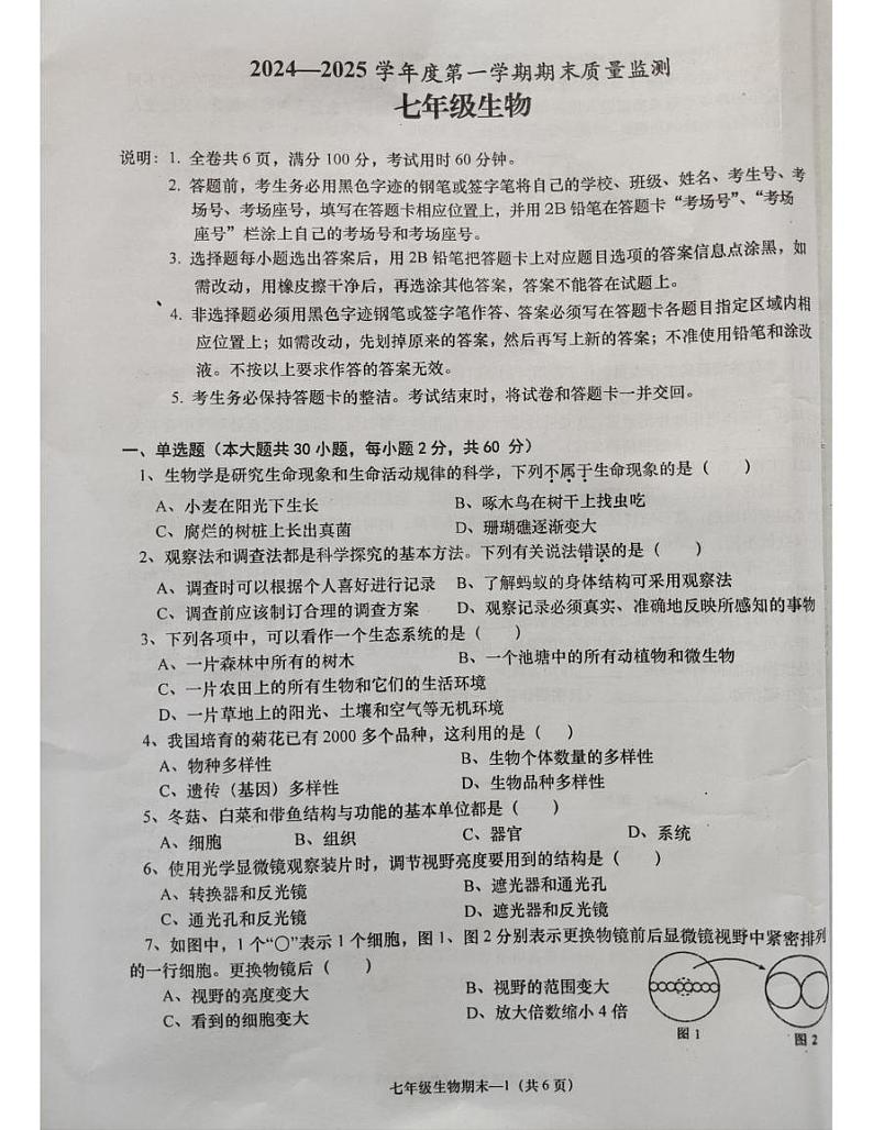 惠来县2024-2025学年七年级生物第一学期期末考试含答案 惠来县2024-2025学年七年级生物第一学期期末考试第1页