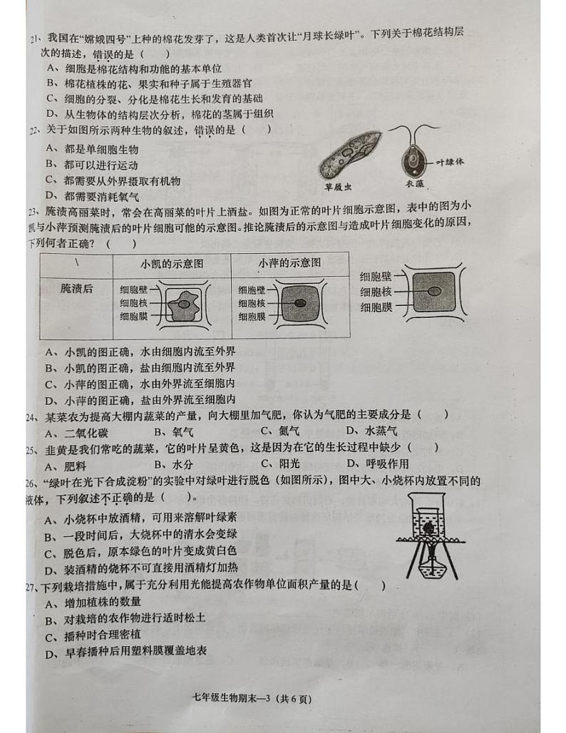 惠来县2024-2025学年七年级生物第一学期期末考试含答案 惠来县2024-2025学年七年级生物第一学期期末考试第3页