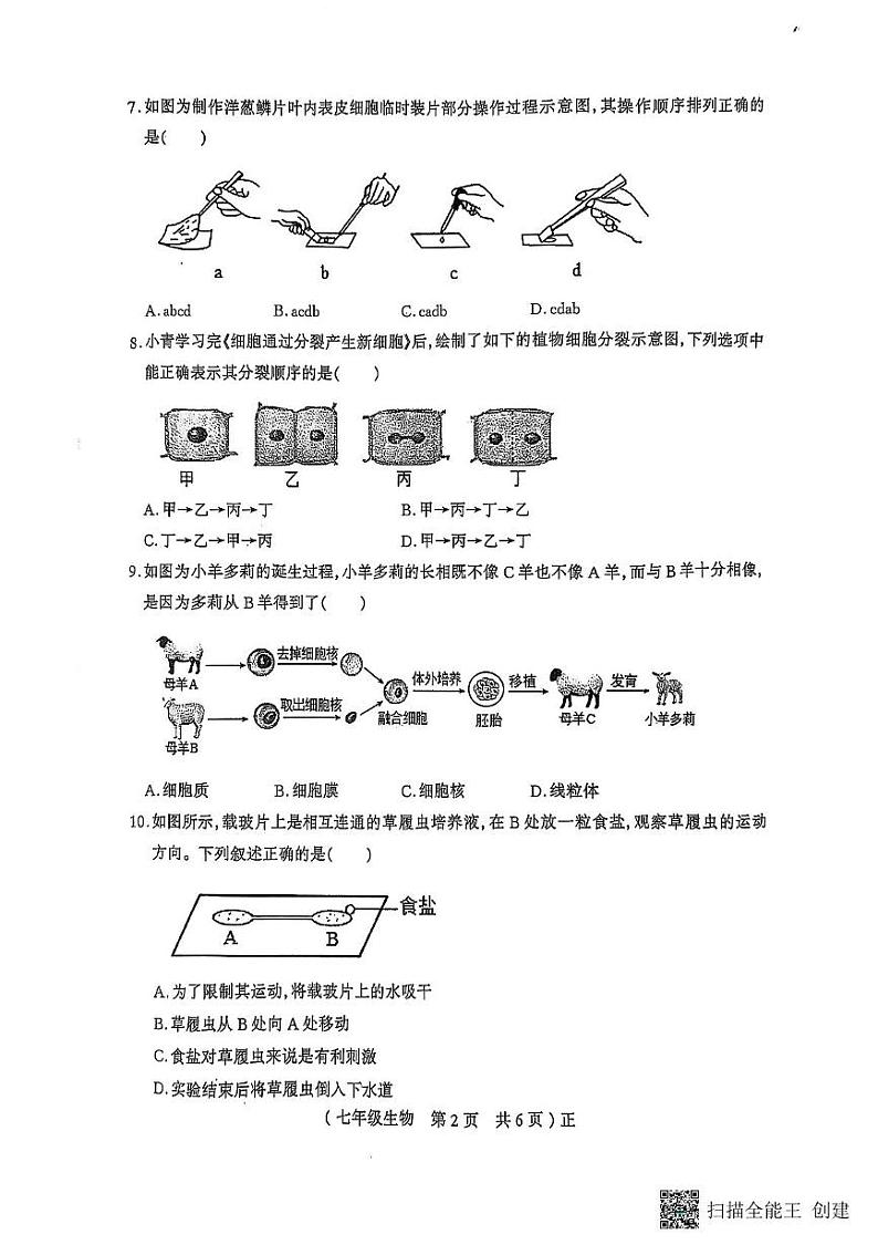 河南省驻马店市正阳县2024-2025学年七年级上学期1月期末生物试题第2页