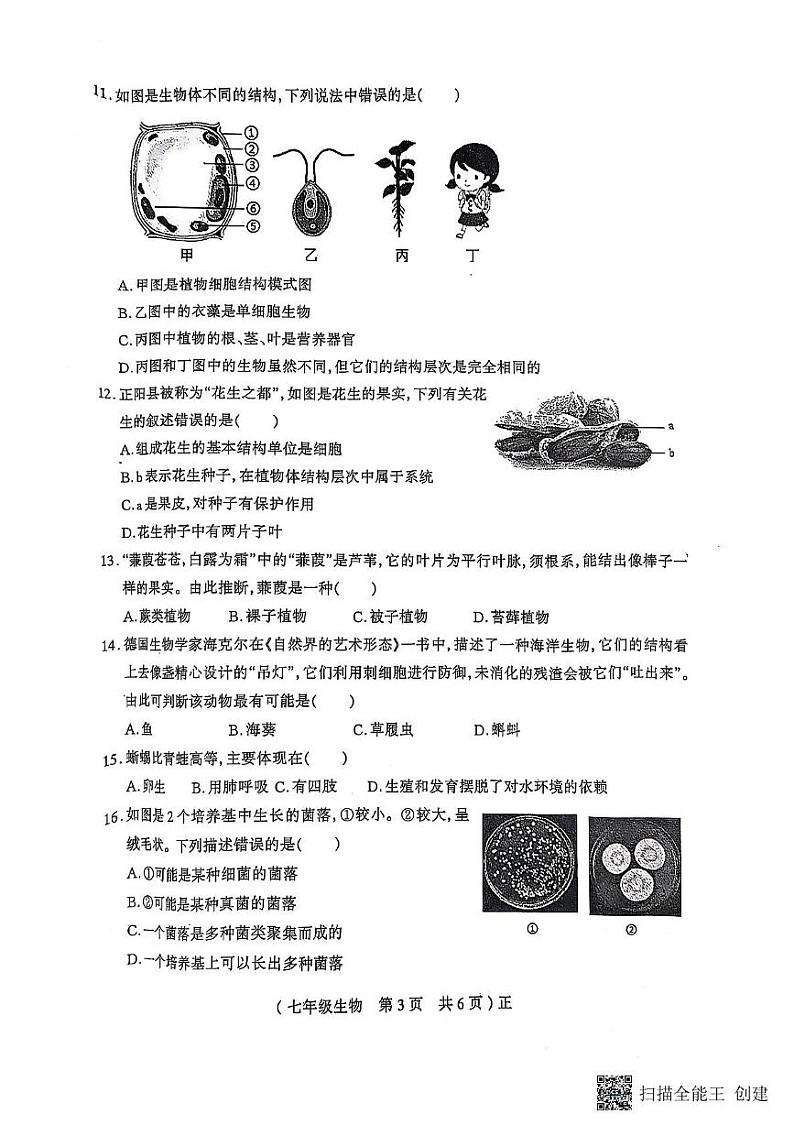 河南省驻马店市正阳县2024-2025学年七年级上学期1月期末生物试题第3页
