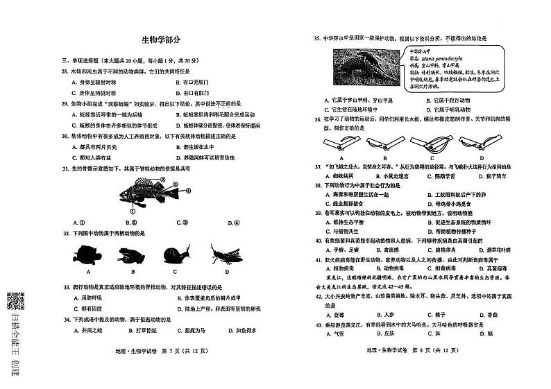 黑龙江省齐齐哈尔市昂昂溪区2024-2025学年八年级上学期1月期末考试生物试题第1页