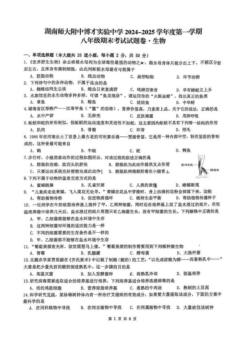 湖南省师大附中教育集团联考2024-2025学年八年级上学期1月期末生物试题第1页