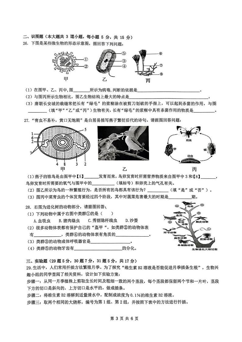 湖南省师大附中教育集团联考2024-2025学年八年级上学期1月期末生物试题第3页