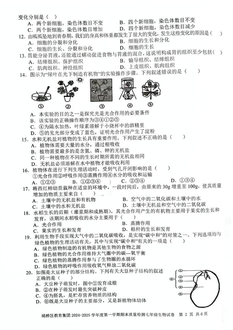 安徽省宿州市埇桥区教育集团2024-2025学年七年级上学期期末质量检测生物试卷第2页
