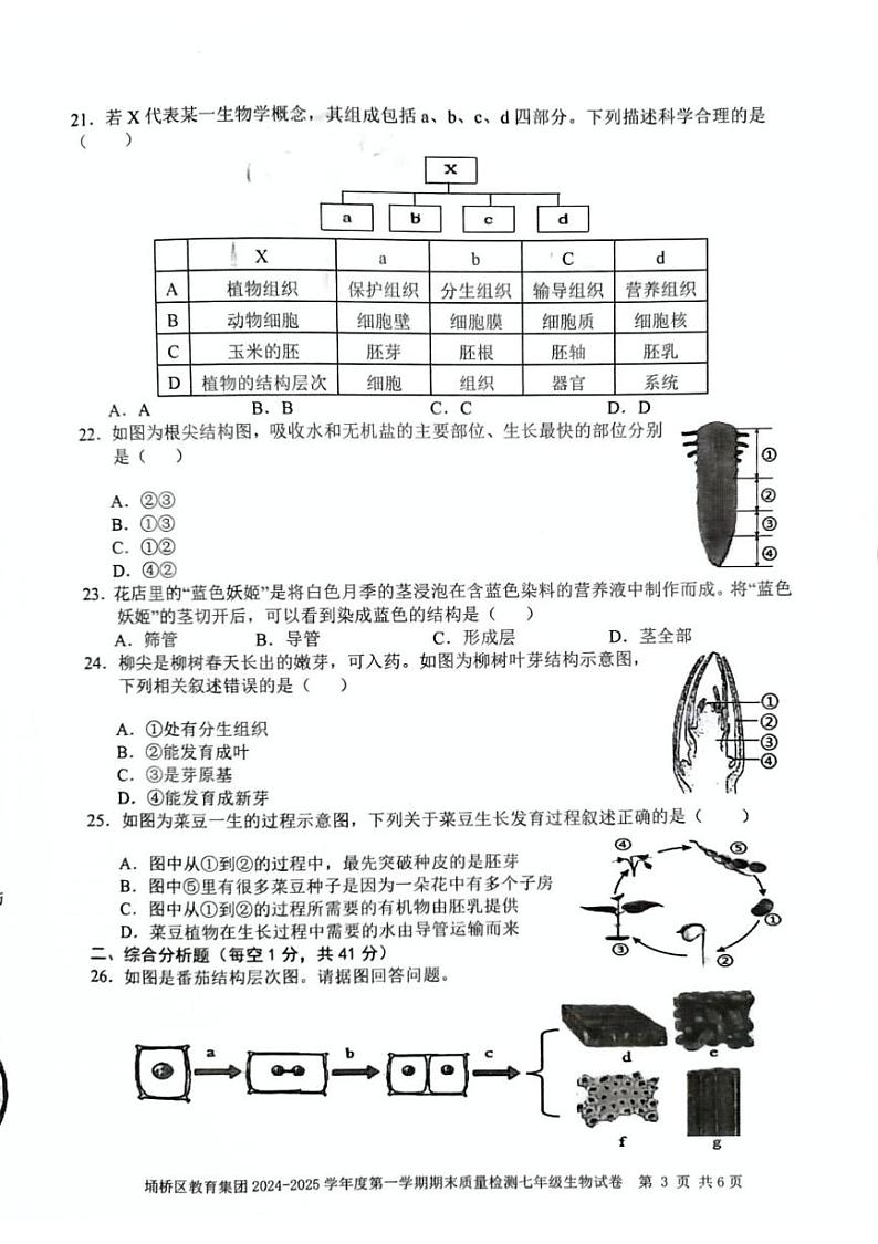 安徽省宿州市埇桥区教育集团2024-2025学年七年级上学期期末质量检测生物试卷第3页