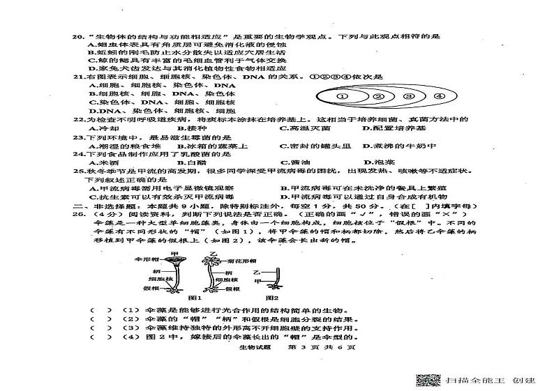 福建省泉州市永春县2024-2025学年七年级上学期期末生物试卷第2页