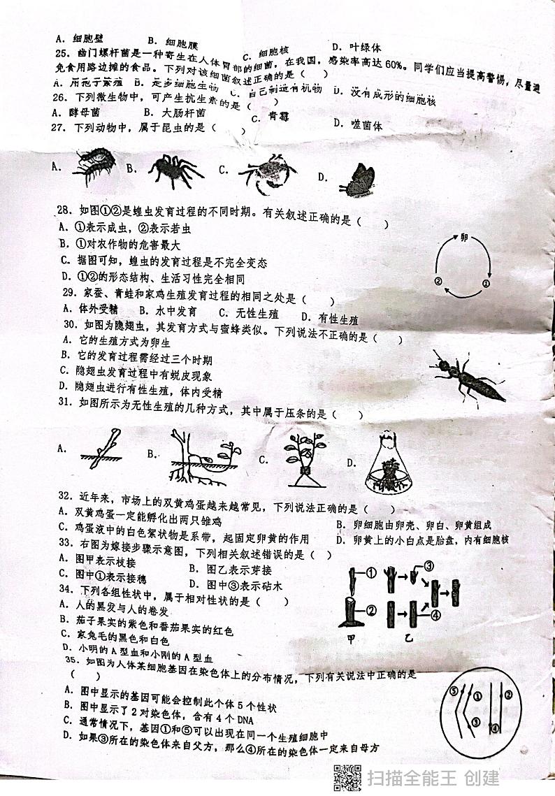 广东省揭阳市惠来县第一中学2024-2025学年八年级上学期1月期末生物试题第3页