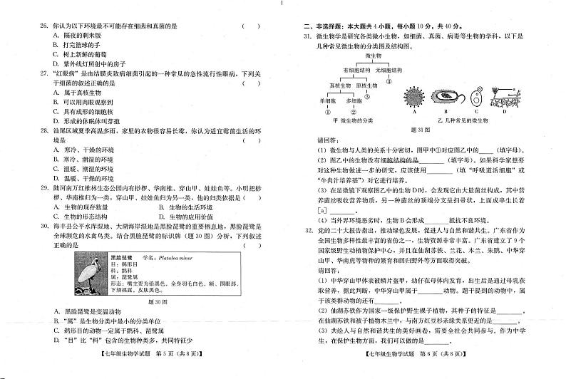 广东省汕尾市2024-2025学年七年级上学期义务教育阶段期末教学质量检测生物试题第3页
