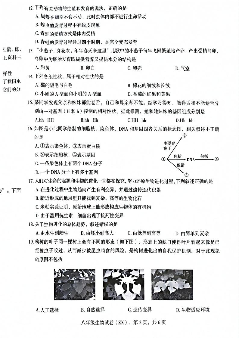 河北省石家庄市赵县2024-2025学年八年级上学期1月期末生物试题第3页