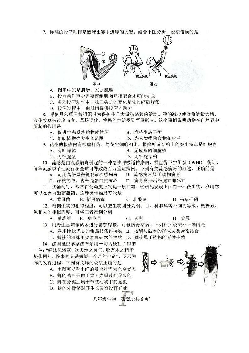 河南省南阳市方城县2024-2025学年八年级上学期1月期末生物试题第2页