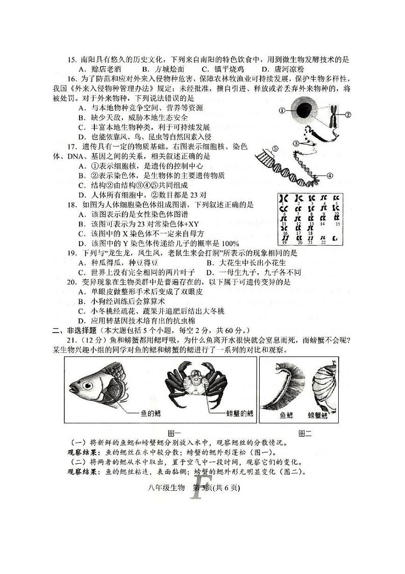 河南省南阳市方城县2024-2025学年八年级上学期1月期末生物试题第3页