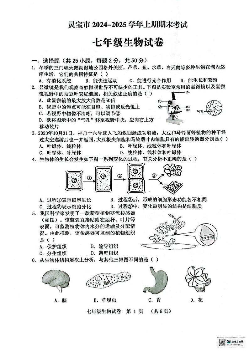 河南省三门峡市灵宝市2024-2025学年七年级上学期1月期末生物试题第1页