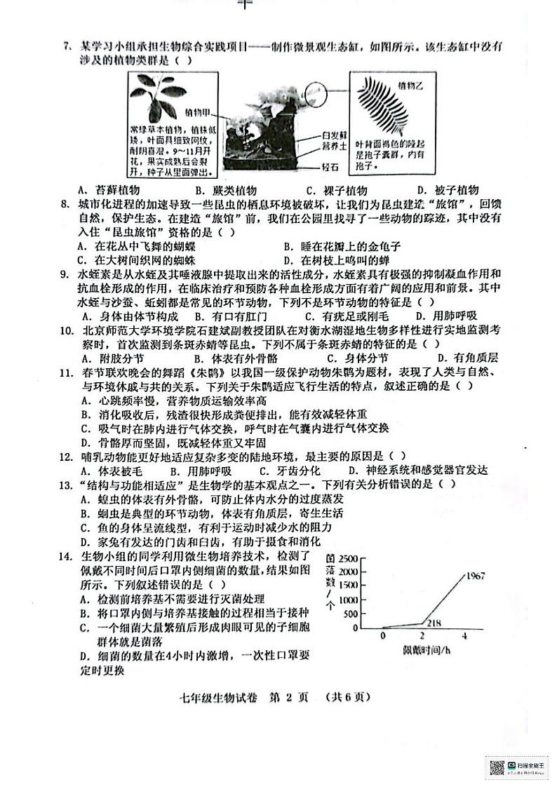 河南省三门峡市灵宝市2024-2025学年七年级上学期1月期末生物试题第2页