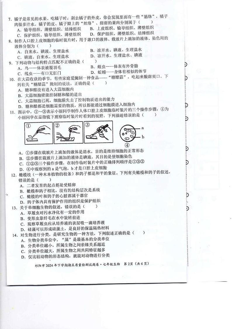 湖南省永州市祁阳市2024-2025学年七年级上学期期末质量检测生物试卷第2页