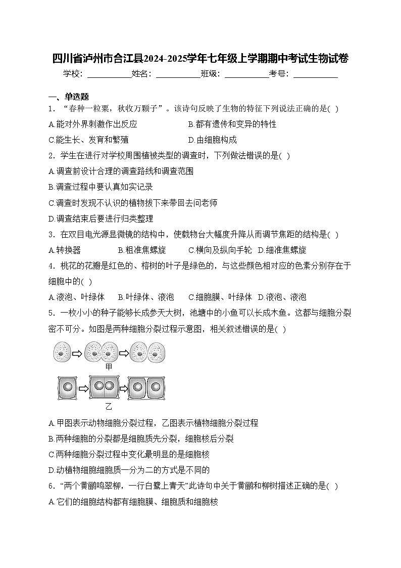 四川省泸州市合江县2024-2025学年七年级上学期期中考试生物试卷(含答案)第1页