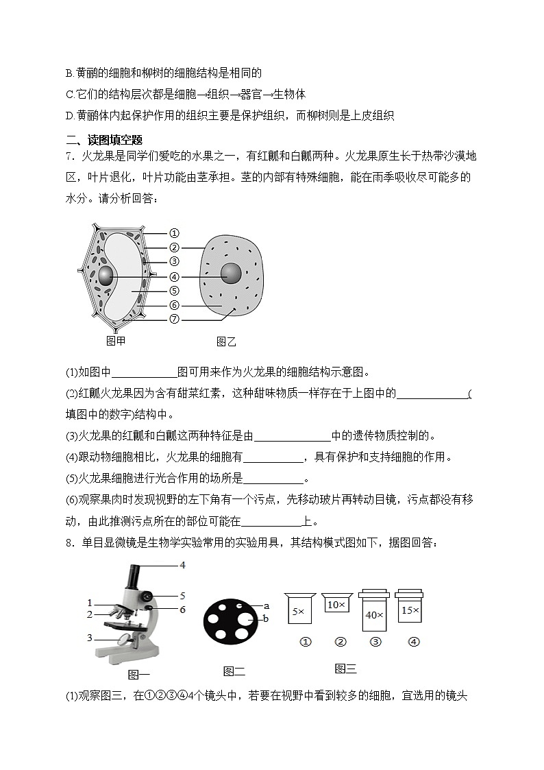 四川省泸州市合江县2024-2025学年七年级上学期期中考试生物试卷(含答案)第2页