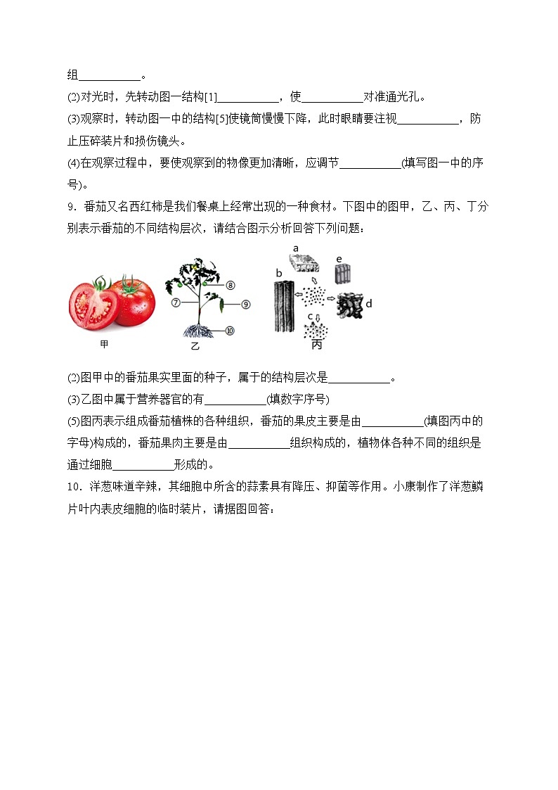 四川省泸州市合江县2024-2025学年七年级上学期期中考试生物试卷(含答案)第3页