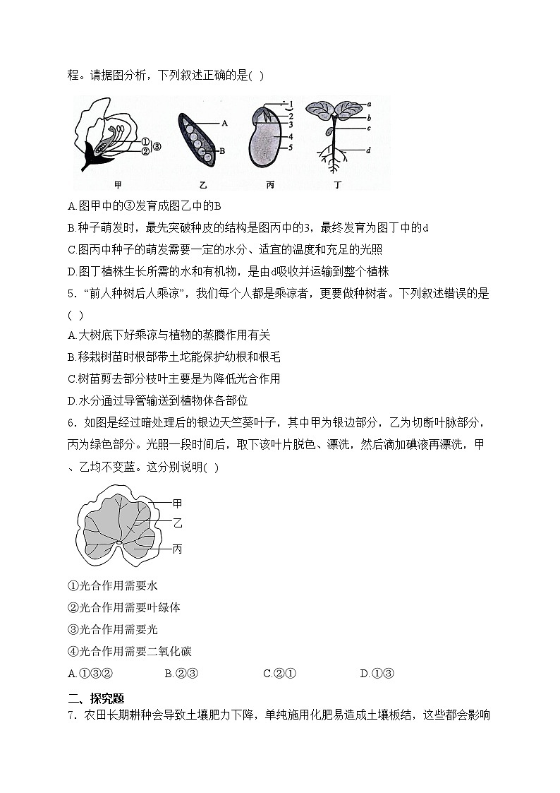 四川省泸州市合江县2025届九年级上学期期中考试生物试卷(含答案)第2页