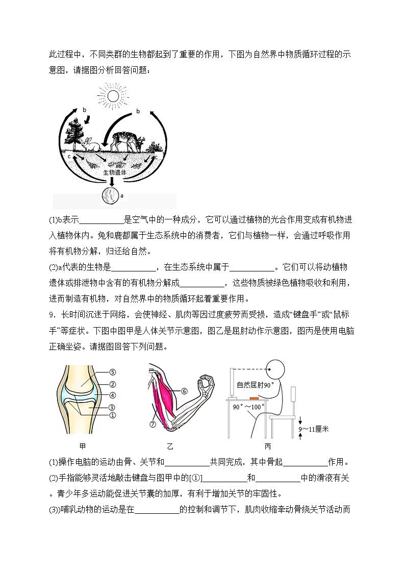 四川省泸州市合江县第五片区2024-2025学年八年级上学期第二次联考生物试卷(含答案)第3页