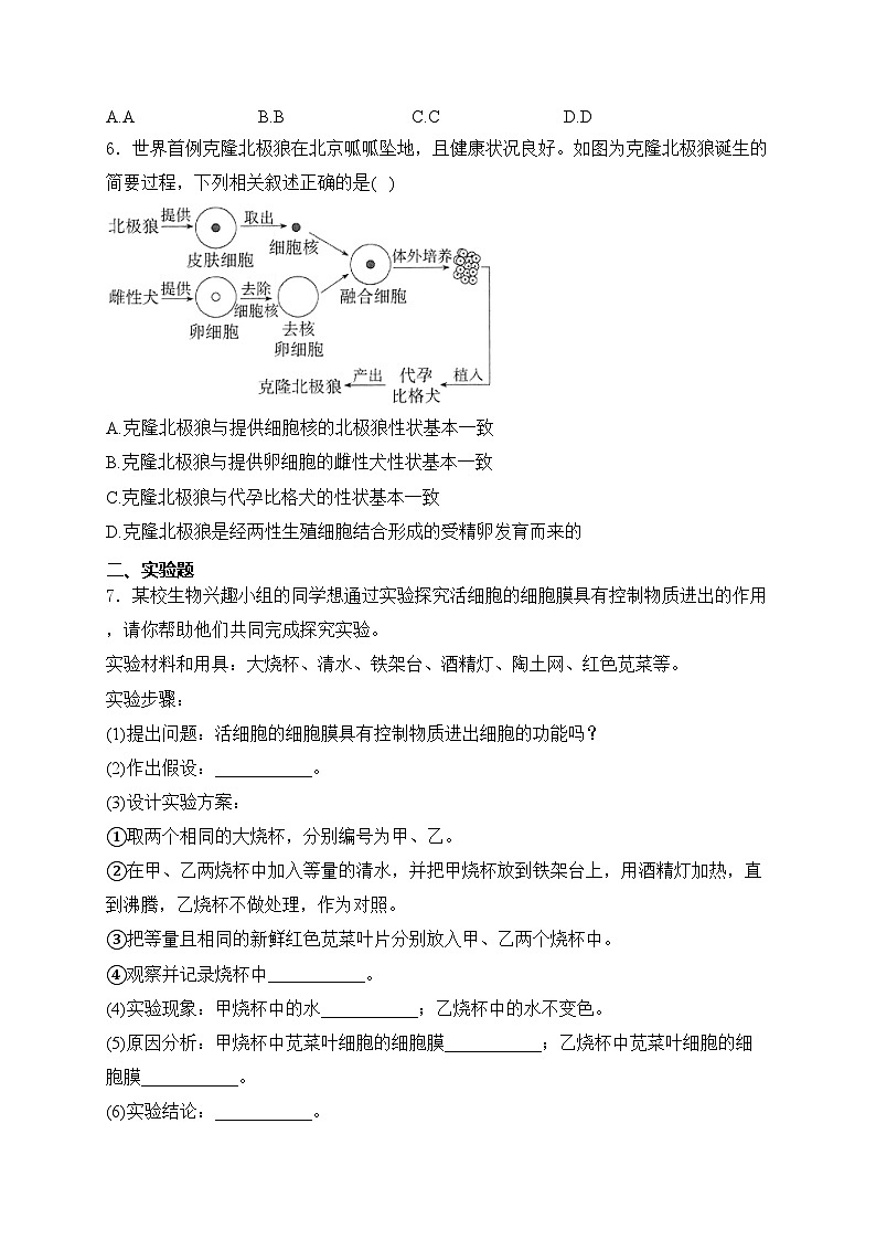 四川省泸州市合江县第五片区2024-2025学年七年级上学期第一次联考生物试卷(含答案)第2页