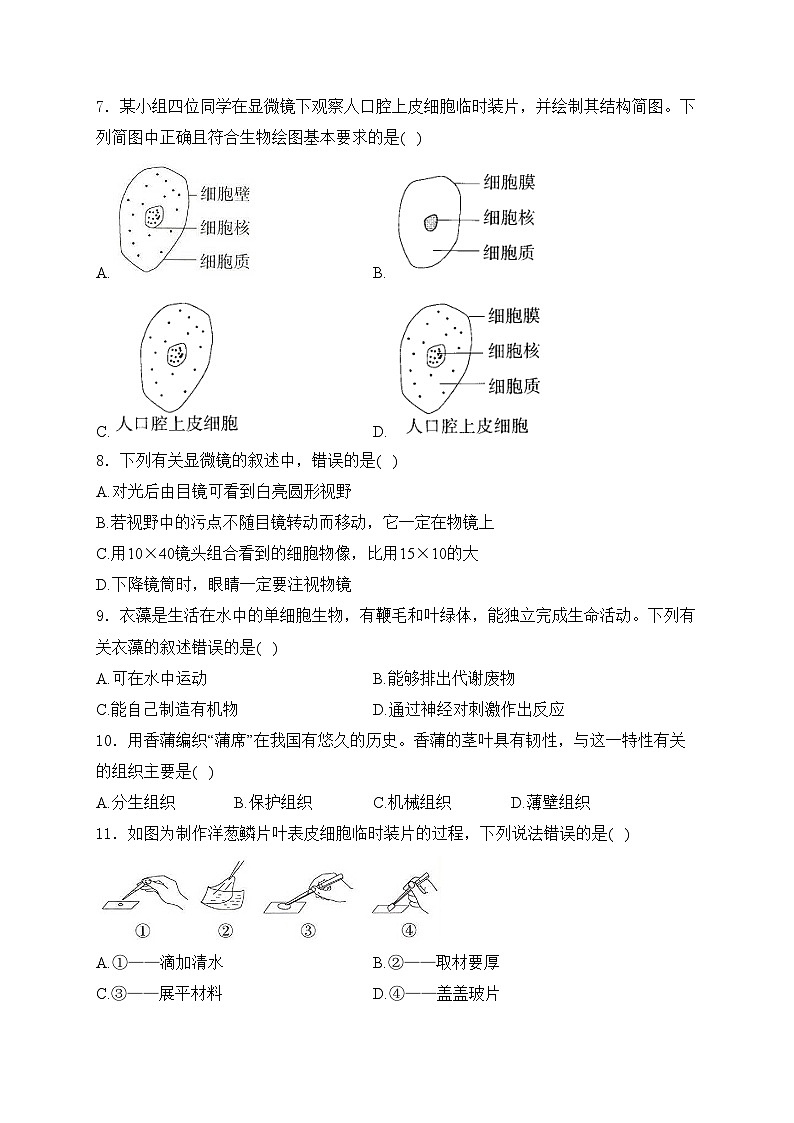 四川省绵阳市三台县2024-2025学年七年级上学期11月期中考试生物试卷(含答案)第2页