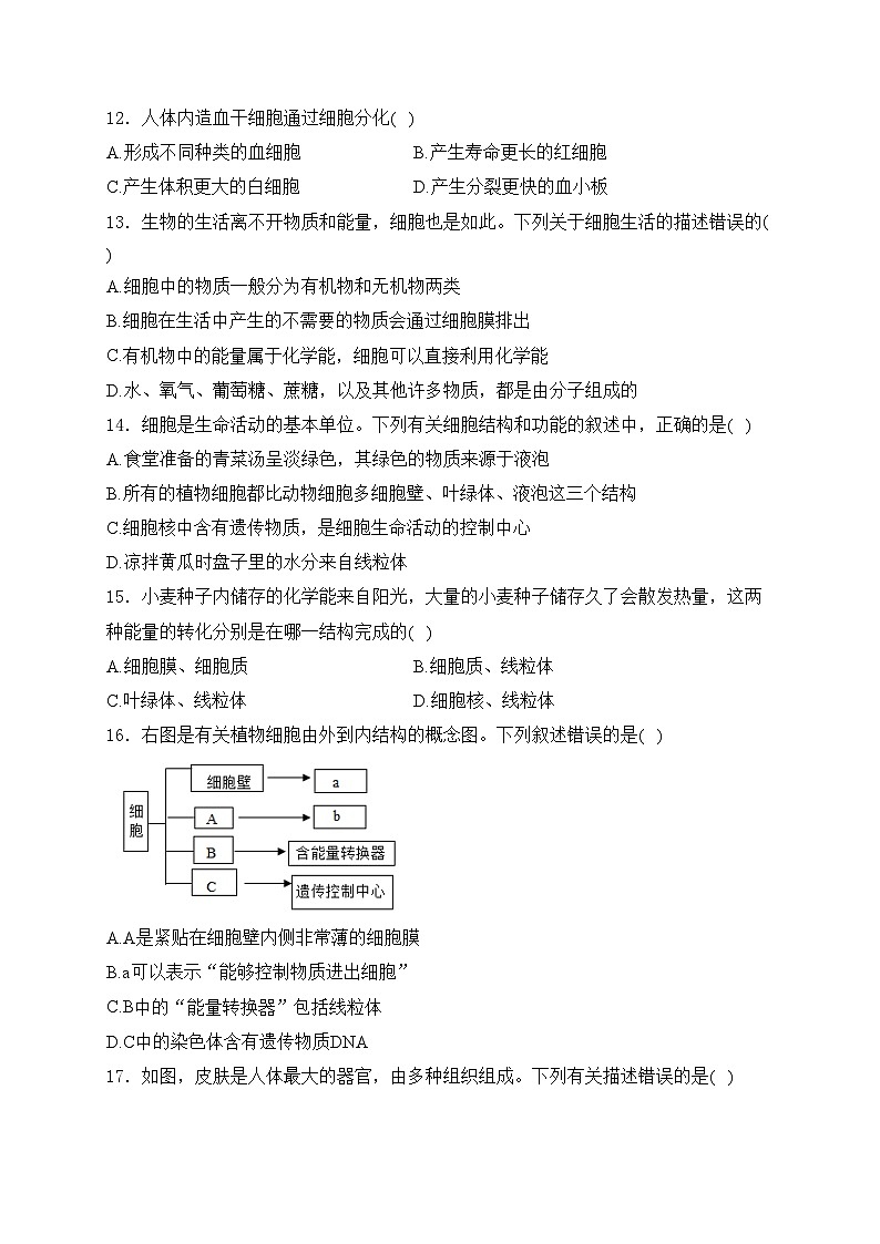 四川省绵阳市三台县2024-2025学年七年级上学期11月期中考试生物试卷(含答案)第3页