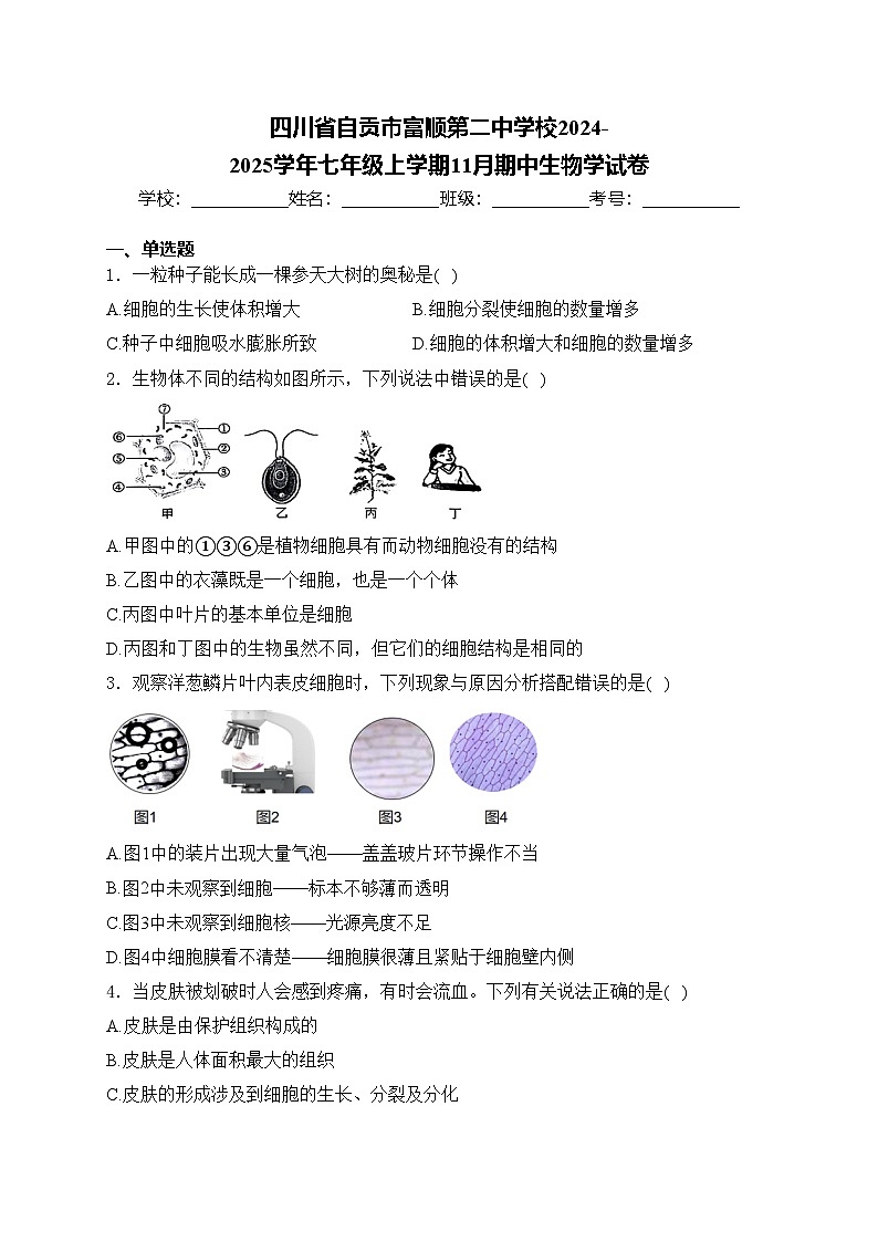 四川省自贡市富顺第二中学校2024-2025学年七年级上学期11月期中生物学试卷(含答案)第1页