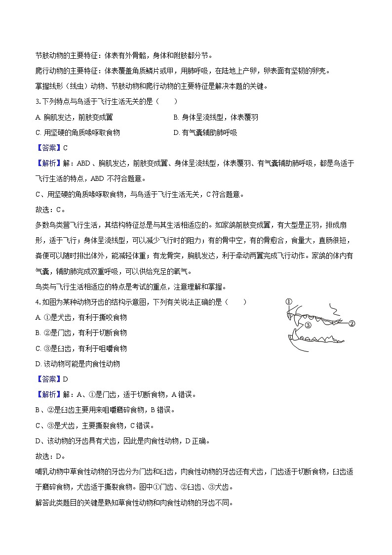 四川省南充市白塔中学等学校2024-2025学年八年级（上）期中生物试卷（含解析）第2页