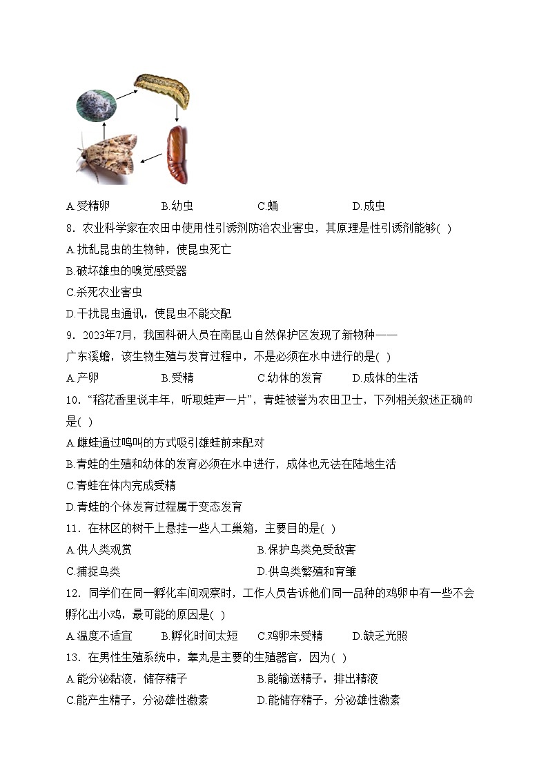河北省邯郸市大名县2024-2025学年八年级上学期12月月考生物试卷(含答案)第2页