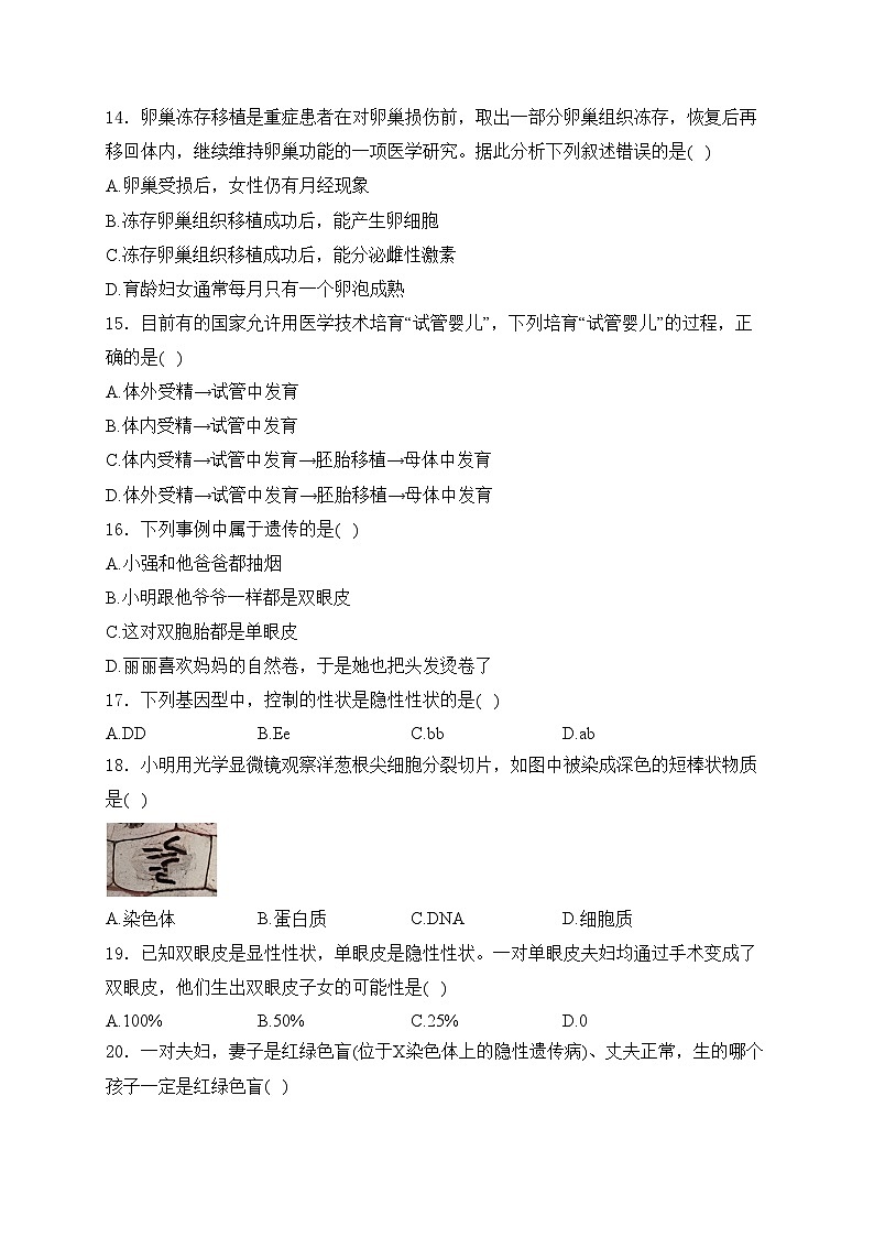 河北省邯郸市大名县2024-2025学年八年级上学期12月月考生物试卷(含答案)第3页