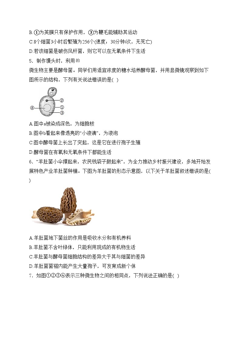 河北省唐山市2024-2025学年八年级上学期期末考试生物试卷(含答案)第2页