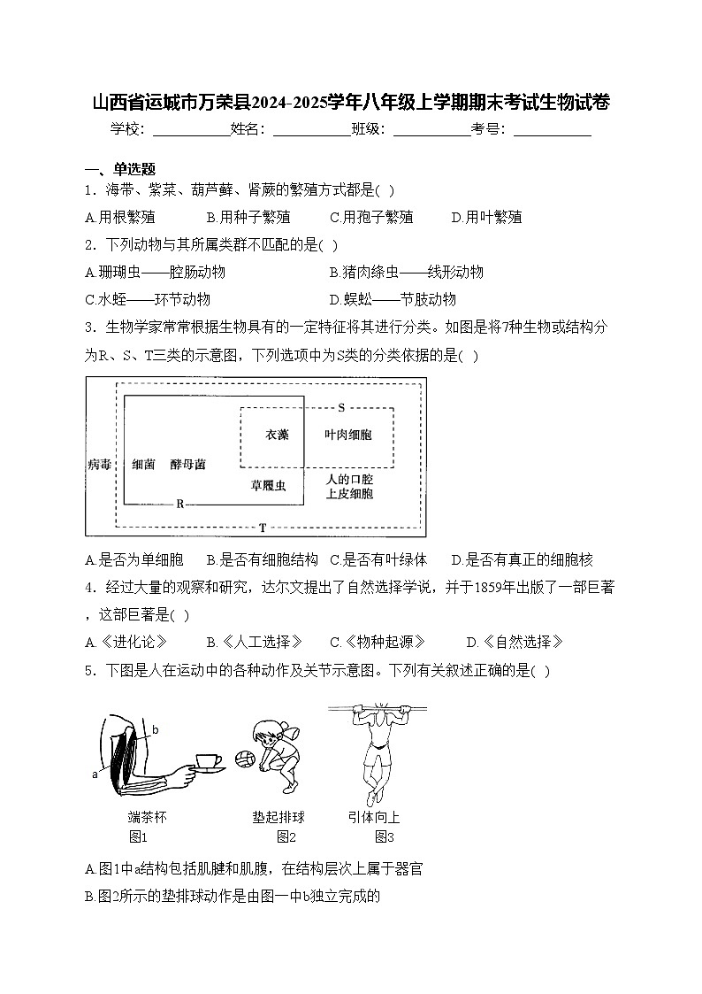 山西省运城市万荣县2024-2025学年八年级上学期期末考试生物试卷(含答案)第1页