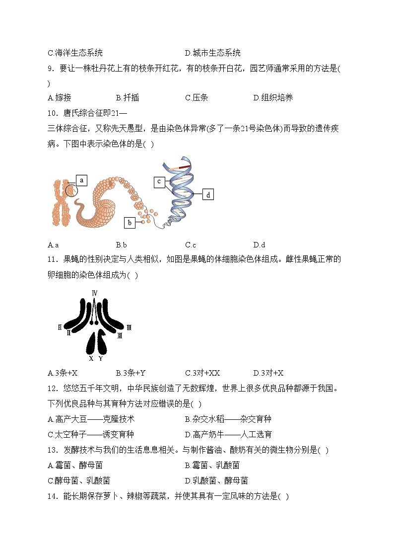 山西省运城市万荣县2024-2025学年八年级上学期期末考试生物试卷(含答案)第3页