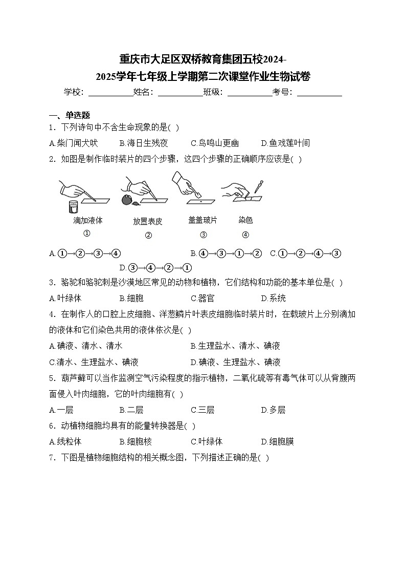 重庆市大足区双桥教育集团五校2024-2025学年七年级上学期第二次课堂作业生物试卷(含答案)第1页