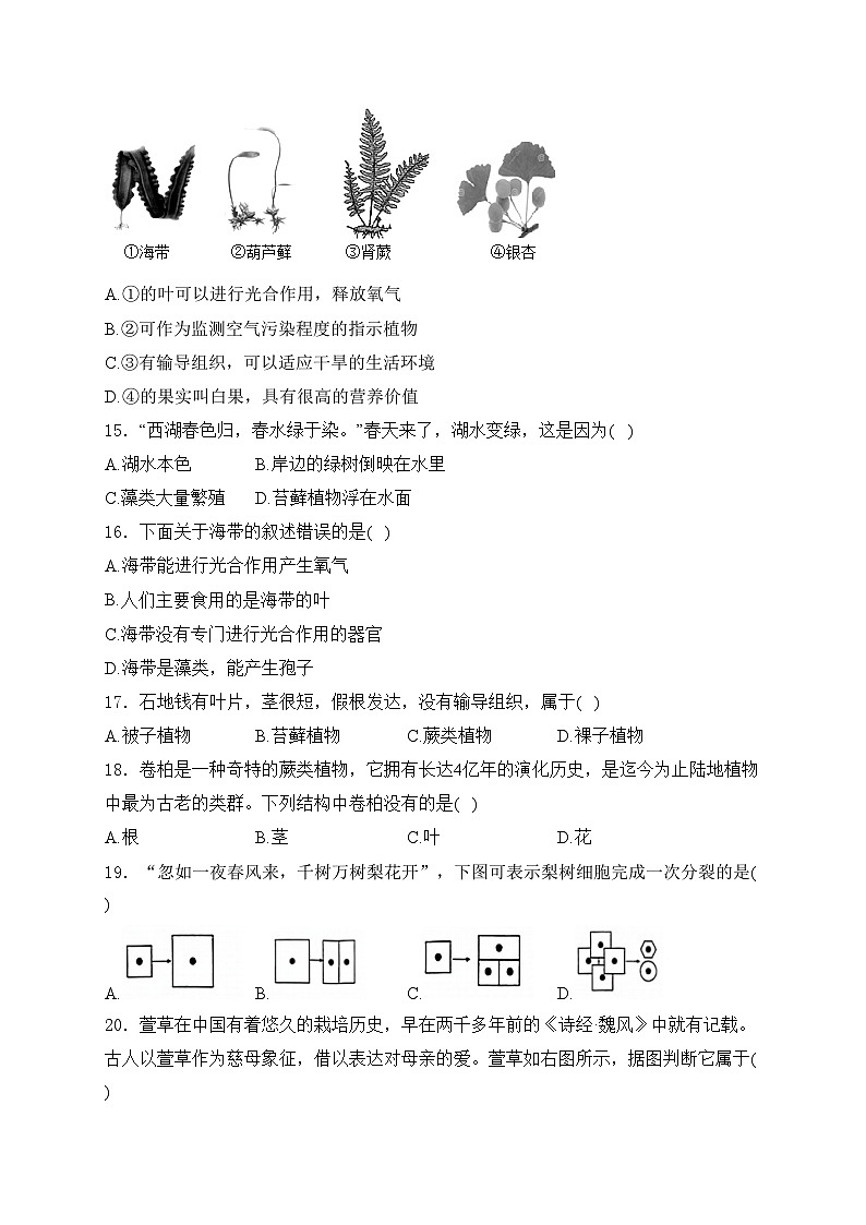 重庆市大足区双桥教育集团五校2024-2025学年七年级上学期第二次课堂作业生物试卷(含答案)第3页